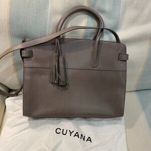 Cuyana Leather Work Satchel
